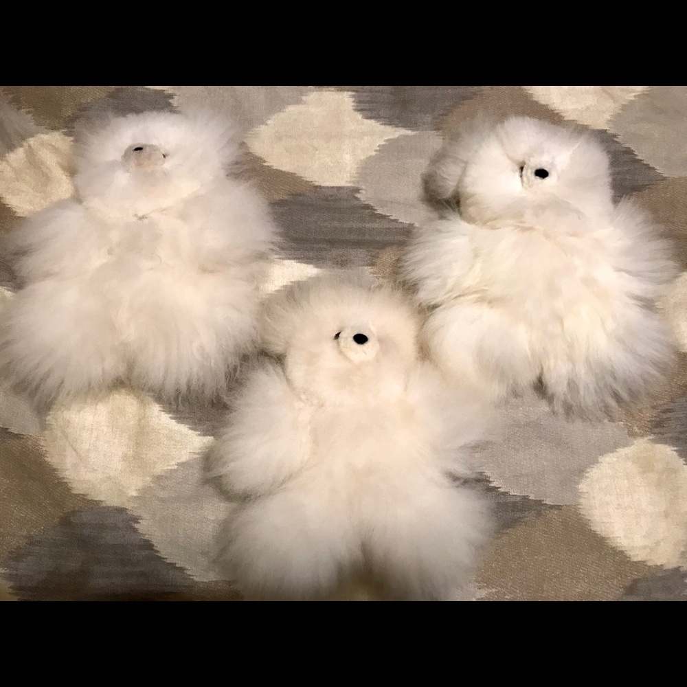 Mini Alpaca Fur Teddy Bear -NEW!!  SOLD OUT